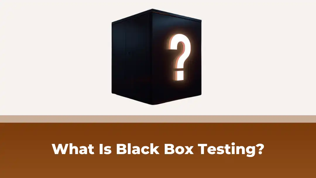 Black Box Testing