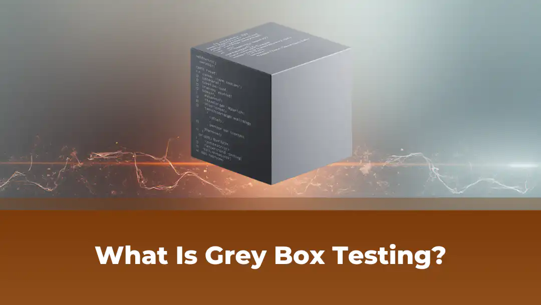 Grey Box Testing