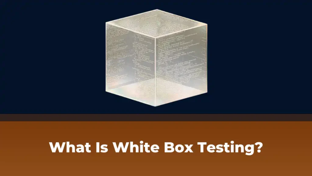 What is white box testing